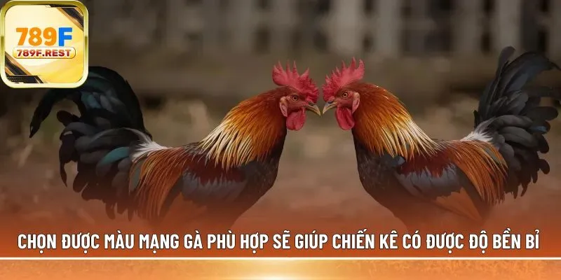 Chọn được màu mạng gà phù hợp 